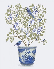 Blueberry Tree in Planter