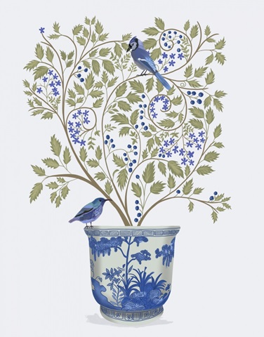 Blueberry Tree in Planter