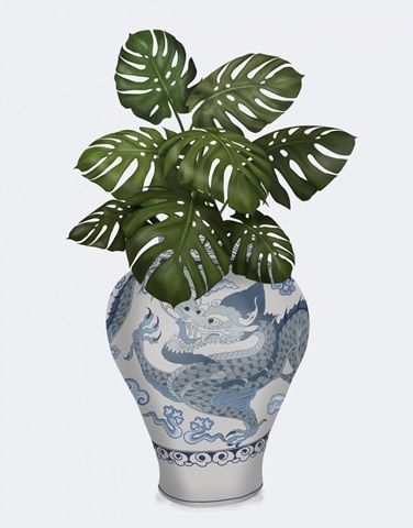 Dragon Vase and Monstera