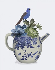 Chinoiserie Teapot, Echevaria and Bird