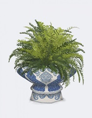 Chinoiserie Bowl and Fern