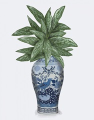 Cockerel Vase with Chinese Evergreen