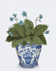 Planter with Blue Flower Plant