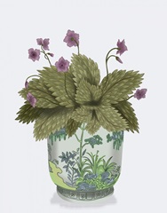 Planter with Pink Flower Plant