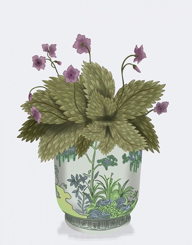 Planter with Pink Flower Plant