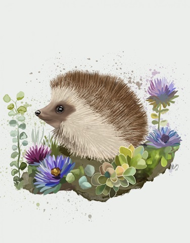 Hedgehog In Flowers