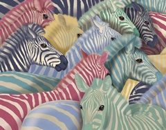 Zebra Herd, Bright