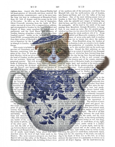 Cat in Chinoiserie Teapot, Blue