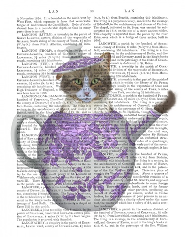 Cat in Chinoiserie Teapot, Pink