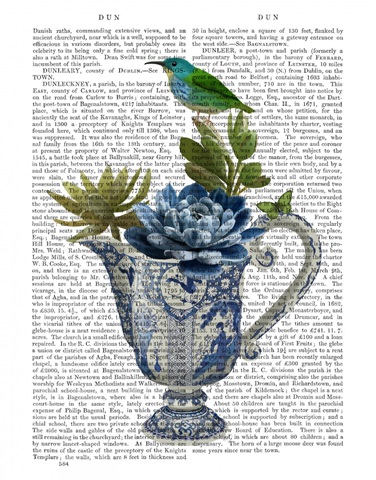 Chinoiserie Jug, Echevaria and Bird
