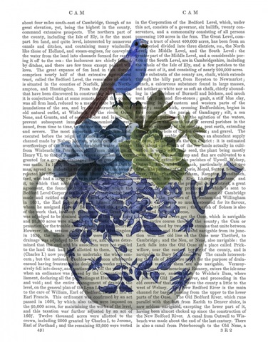 Chinoiserie Teapot, Echevaria and Bird