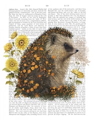 Floralessence Hedgehog 1