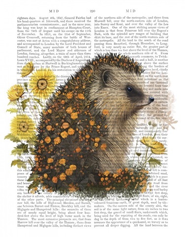 Floralessence Hedgehog 1