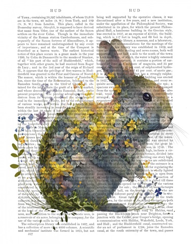 Floralessence Rabbit 1