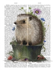 Hedgehog Flowerpot