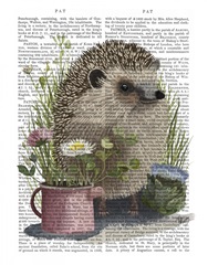 Hedgehog Watering Can