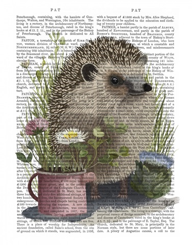 Hedgehog Watering Can