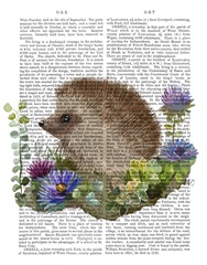 Hedgehog In Flowers