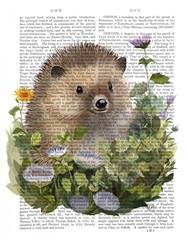 Hedgehog In Ivy