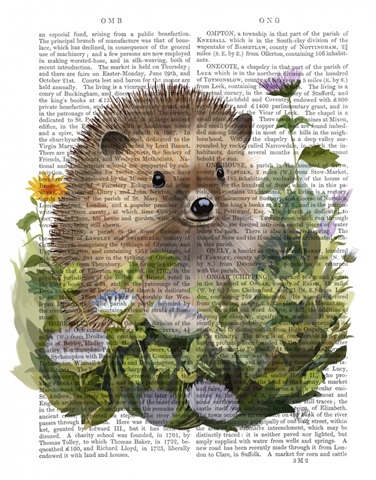 Hedgehog In Ivy