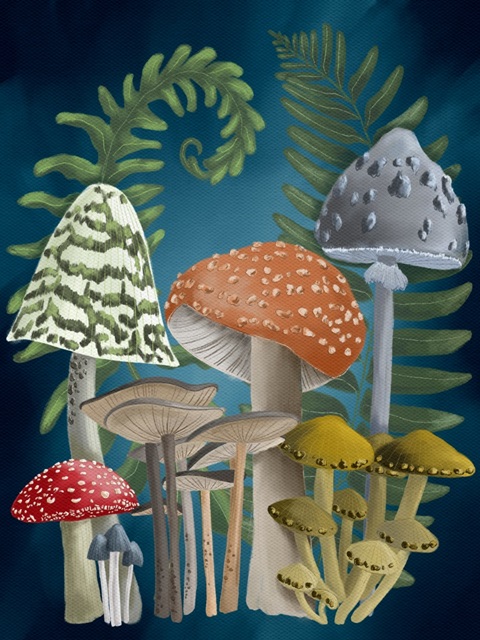 Harvest Mushrooms I