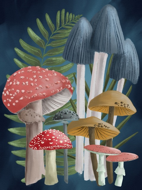 Harvest Mushrooms II