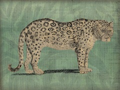 Vintage Jungle Cat I