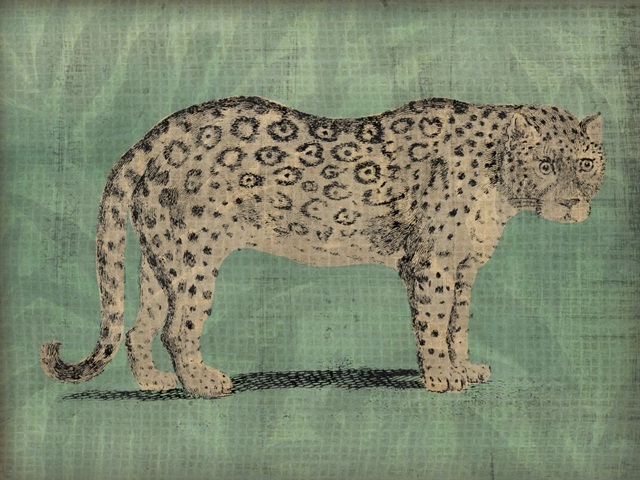 Vintage Jungle Cat I