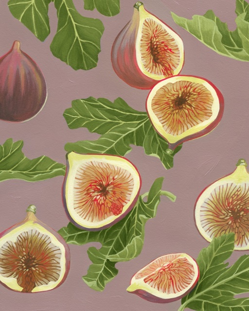 Harvest Figs I