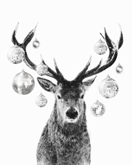 Disco Deer I
