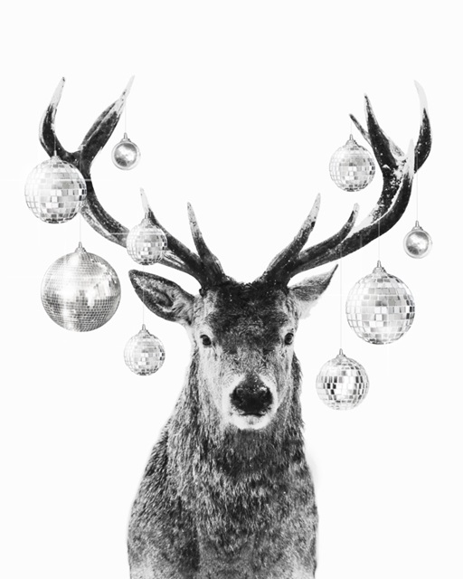 Disco Deer I