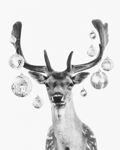 Disco Deer II