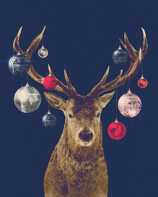 Disco Deer III