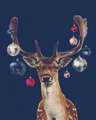 Disco Deer IV