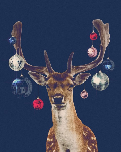 Disco Deer IV