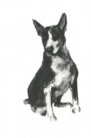 Doggy Expressions II