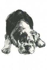 Doggy Expressions III