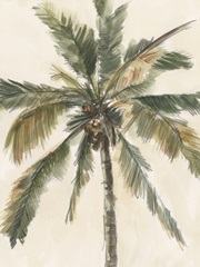 Antique Watercolor Palm Study I