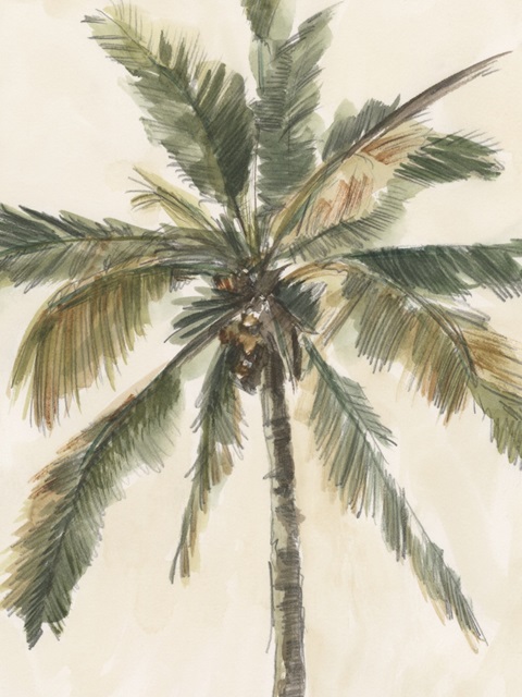 Antique Watercolor Palm Study I