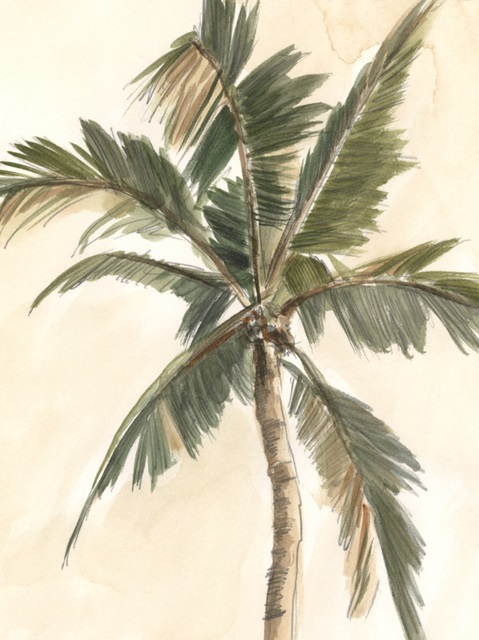 Antique Watercolor Palm Study II