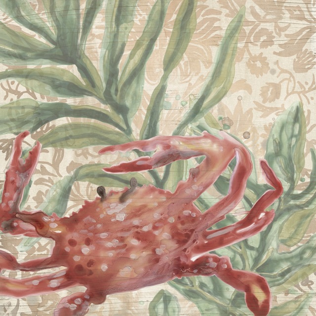 Damask Crab IV