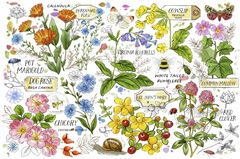 Healing Garden Horizontal