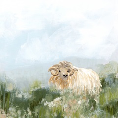 Meadow Friend II