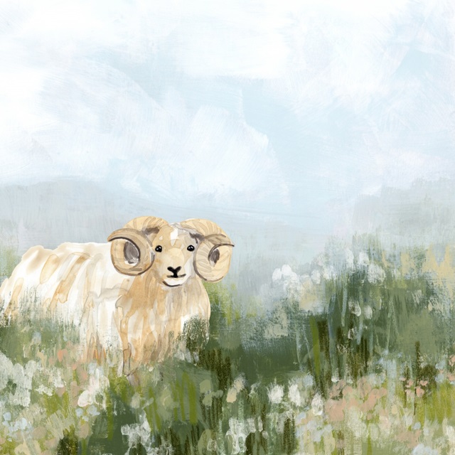 Meadow Friend III