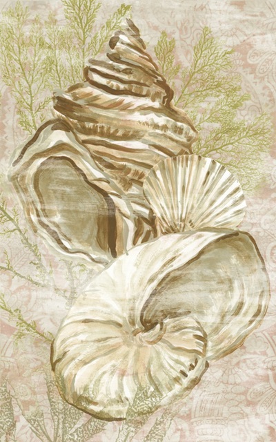 Antique Peach Shell Collage I