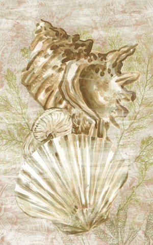 Antique Peach Shell Collage II