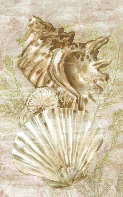 Antique Peach Shell Collage II