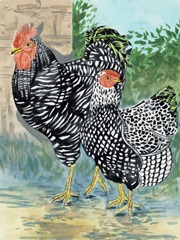 Rooster In The Yard I