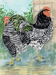 Rooster In The Yard II