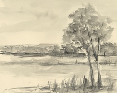 Graphite Plein Air Study II